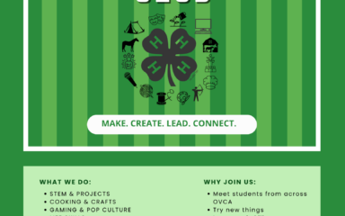 4H Club flyer